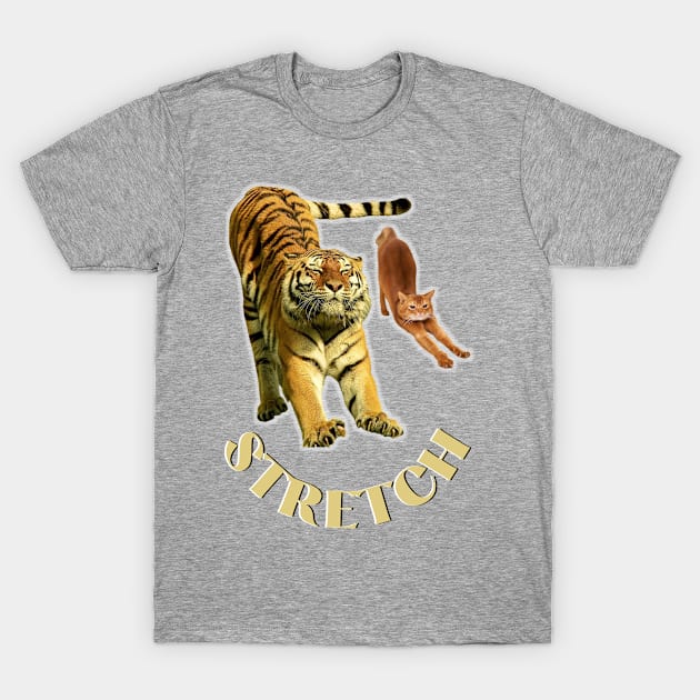 Stretch exercise by a tiger and a cat - gold text T-Shirt by Blue Butterfly Designs 